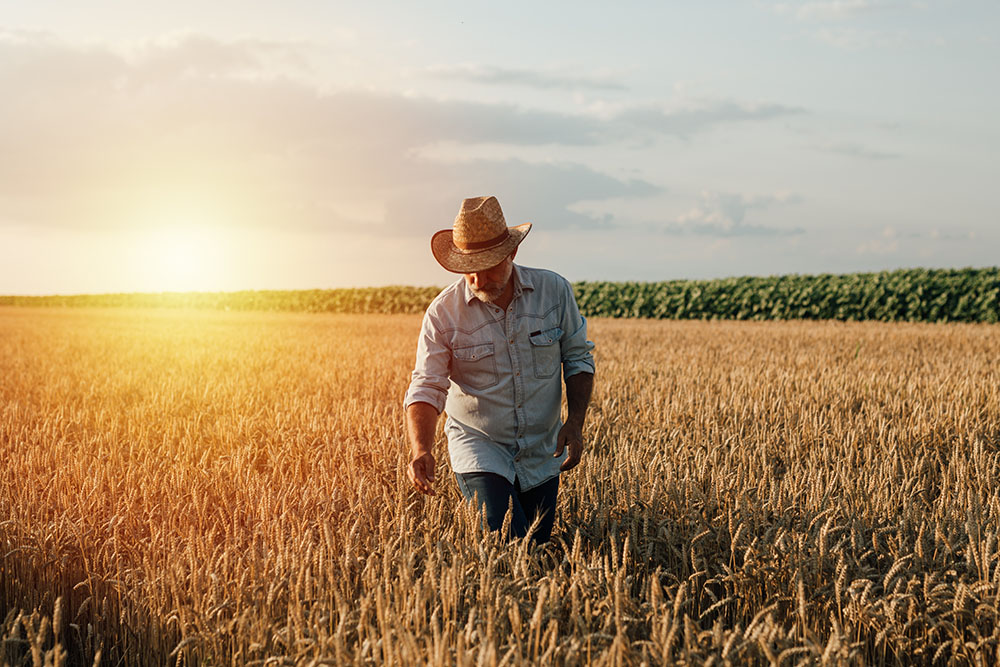 Accounting For Farmers | Baker Retirement & Wealth Management
